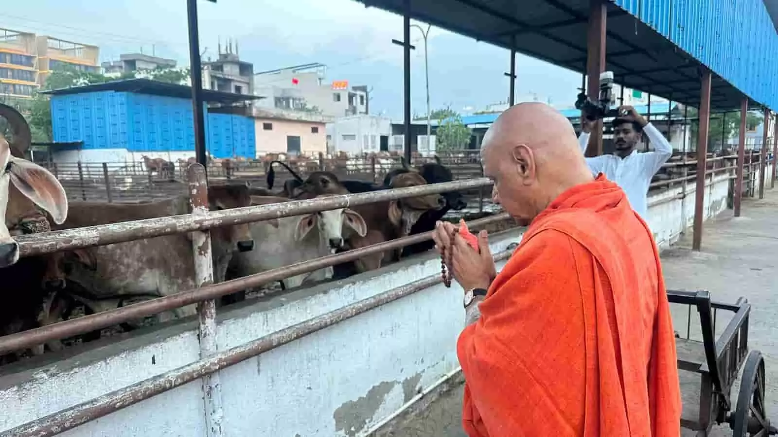 भीलवाड़ा के राम धाम विरक्त आश्रम में स्वामी गोविंद देव गिरी जी महाराज गौशाला की गायों के सामने प्रार्थना कर रहे हैं। भीलवाड़ा के राम धाम विरक्त आश्रम में स्वामी गोविंद देव गिरी जी महाराज गौशाला की गायों के सामने प्रार्थना कर रहे हैं।