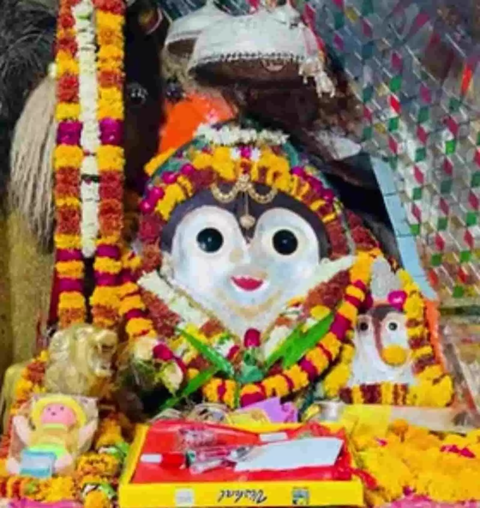 तस्वीर में इंदरगढ़ की मां बिजासन देवी का श्रृंगारित रूप गंगापुर सिटी आयोजन के संदर्भ में दिख रहा है। तस्वीर में इंदरगढ़ की मां बिजासन देवी का श्रृंगारित रूप गंगापुर सिटी आयोजन के संदर्भ में दिख रहा है।