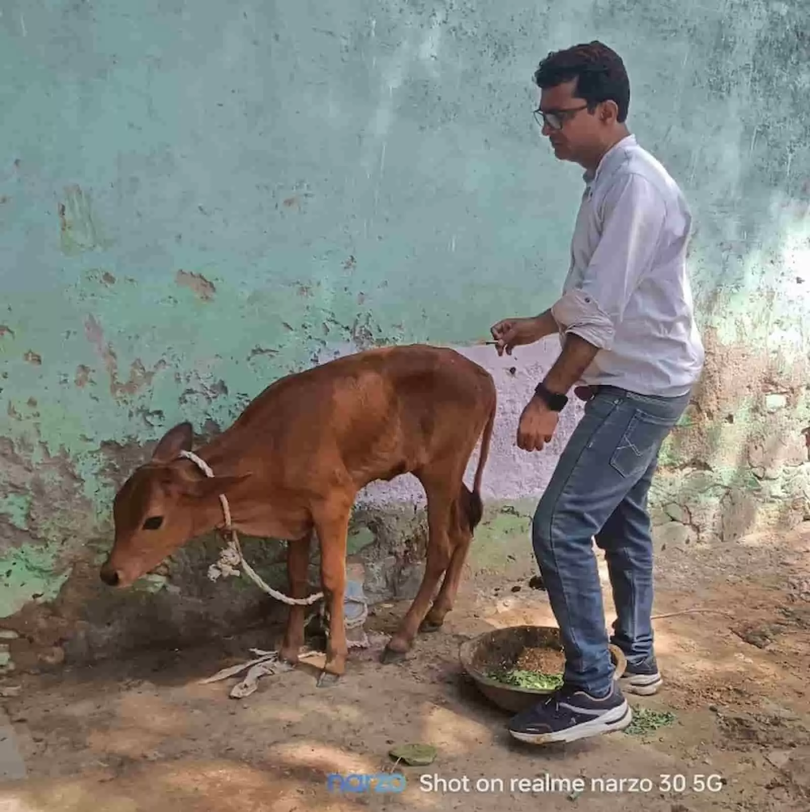 भुसावर में पशुपालन विभाग के कर्मी द्वारा बछड़े को लंपी स्किन डिजीज का टीका लगाते हुए दृश्य भुसावर में पशुपालन विभाग के कर्मी द्वारा बछड़े को लंपी स्किन डिजीज का टीका लगाते हुए दृश्य