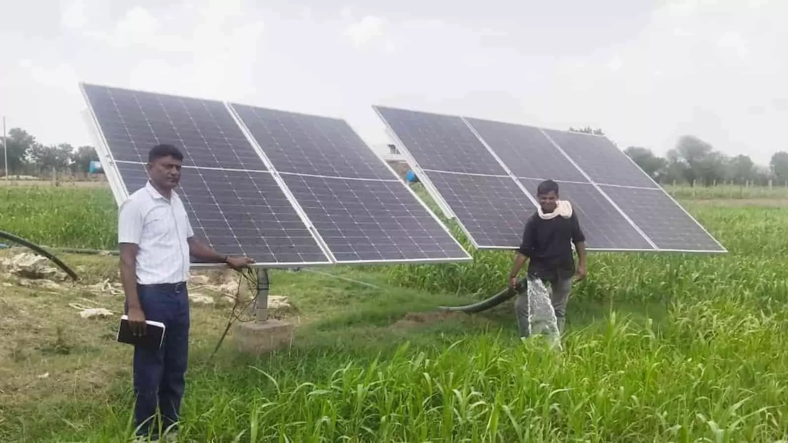तस्वीर में सवाई माधोपुर के महापुरा में सोलर पंप से सिंचाई करते किसान और कृषि अधिकारी दिख रहे हैं। तस्वीर में सवाई माधोपुर के महापुरा में सोलर पंप से सिंचाई करते किसान और कृषि अधिकारी दिख रहे हैं।