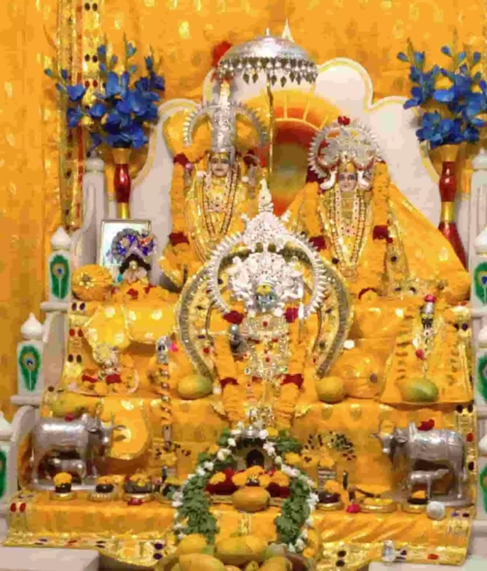 फतहनगर के अखाड़ा मंदिर में निर्जला एकादशी पर पीले वस्त्रों और आभूषणों से सजे भगवान सत्यनारायण और माता लक्ष्मी के विग्रह। फतहनगर के अखाड़ा मंदिर में निर्जला एकादशी पर पीले वस्त्रों और आभूषणों से सजे भगवान सत्यनारायण और माता लक्ष्मी के विग्रह।