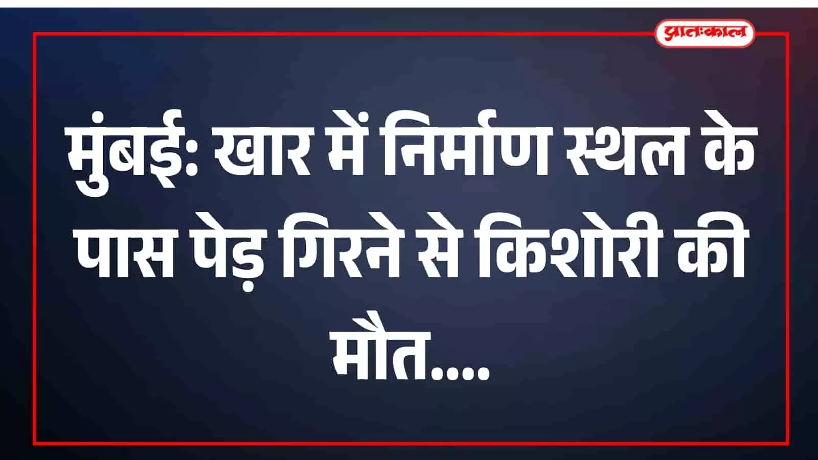 मुंबई के खार में निर्माण स्थल के पास गिरे पेड़ के बाद की स्थिति और सुरक्षा जांच का दृश्य। मुंबई के खार में निर्माण स्थल के पास गिरे पेड़ के बाद की स्थिति और सुरक्षा जांच का दृश्य।