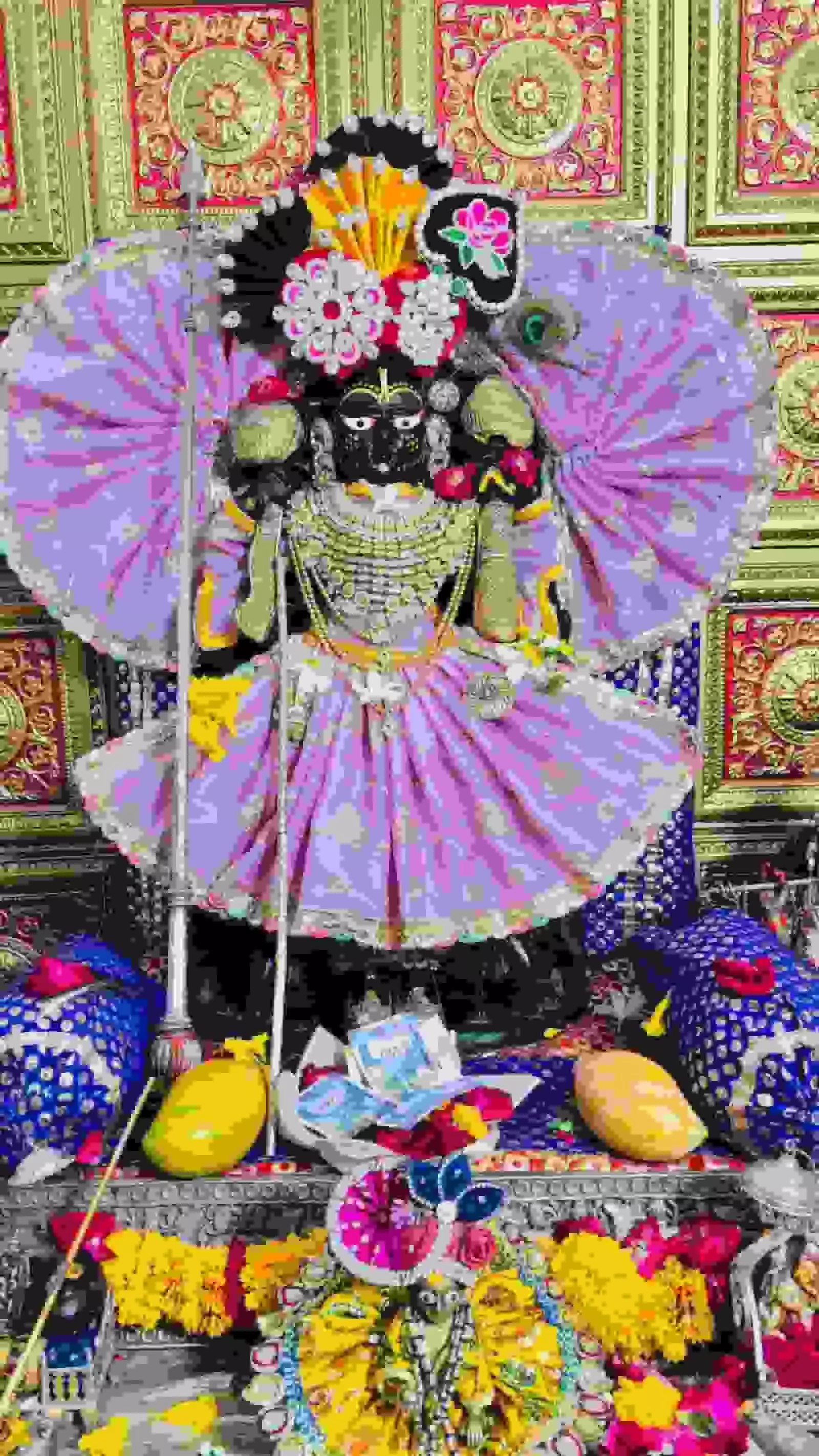 मंदिर के गर्भगृह में श्रृंगारित रूप में विराजमान ठाकुर गोपालराय जी की मूर्ति। मंदिर के गर्भगृह में श्रृंगारित रूप में विराजमान ठाकुर गोपालराय जी की मूर्ति।