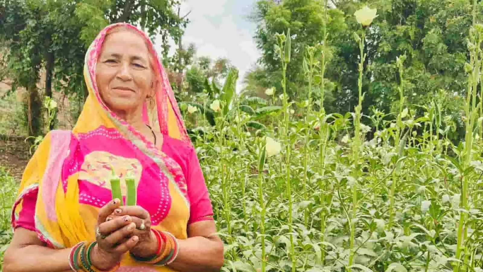 खेत में फसल के सामने हाथ में भिंडी लिए खड़ी महिला किसान। खेत में फसल के सामने हाथ में भिंडी लिए खड़ी महिला किसान।