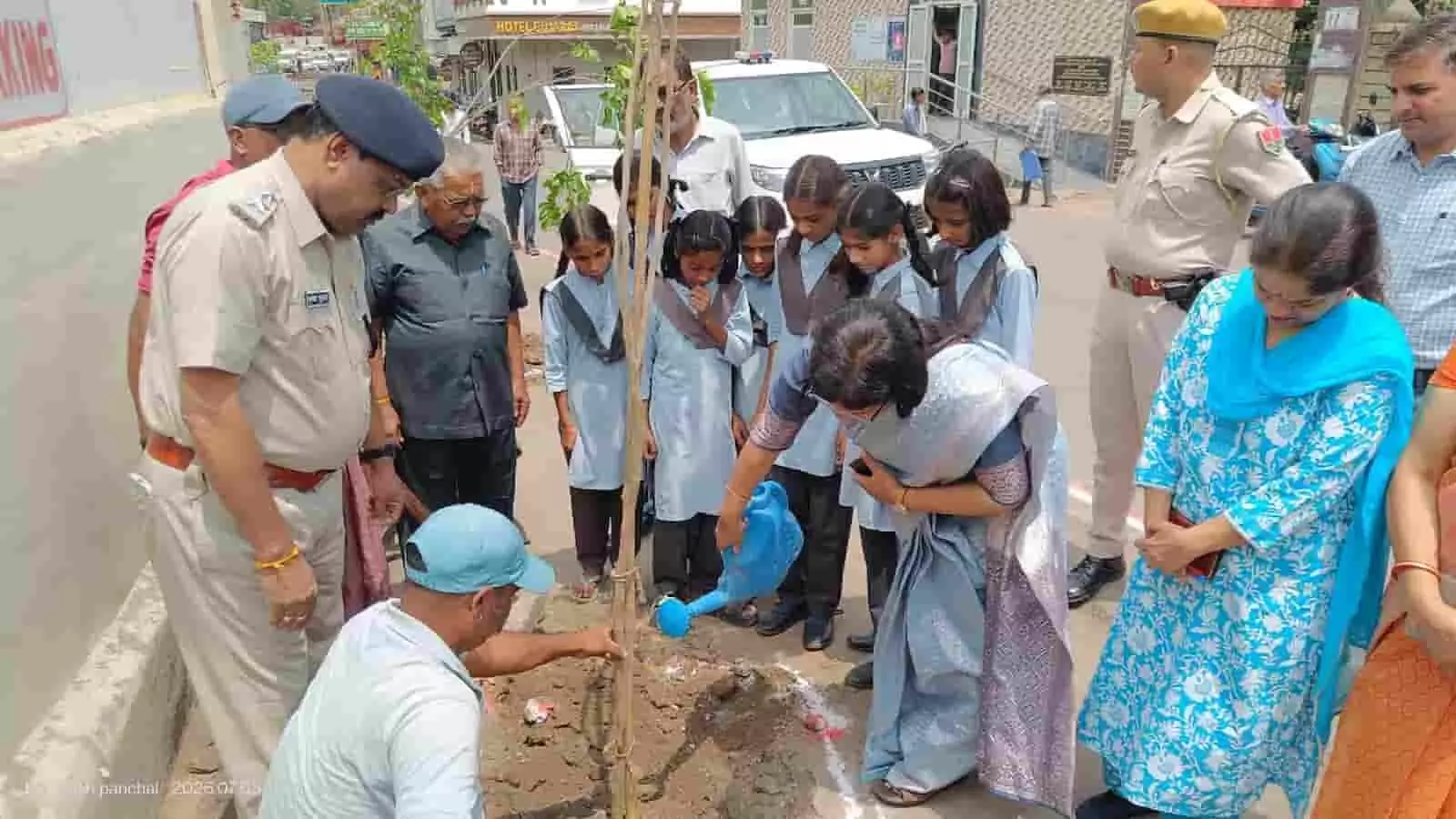 आबू रोड में वृक्षारोपण अभियान के दौरान पौधे में पानी डालतीं उप जिला कलेक्टर डॉ अंशु प्रिया। आबू रोड में वृक्षारोपण अभियान के दौरान पौधे में पानी डालतीं उप जिला कलेक्टर डॉ अंशु प्रिया।