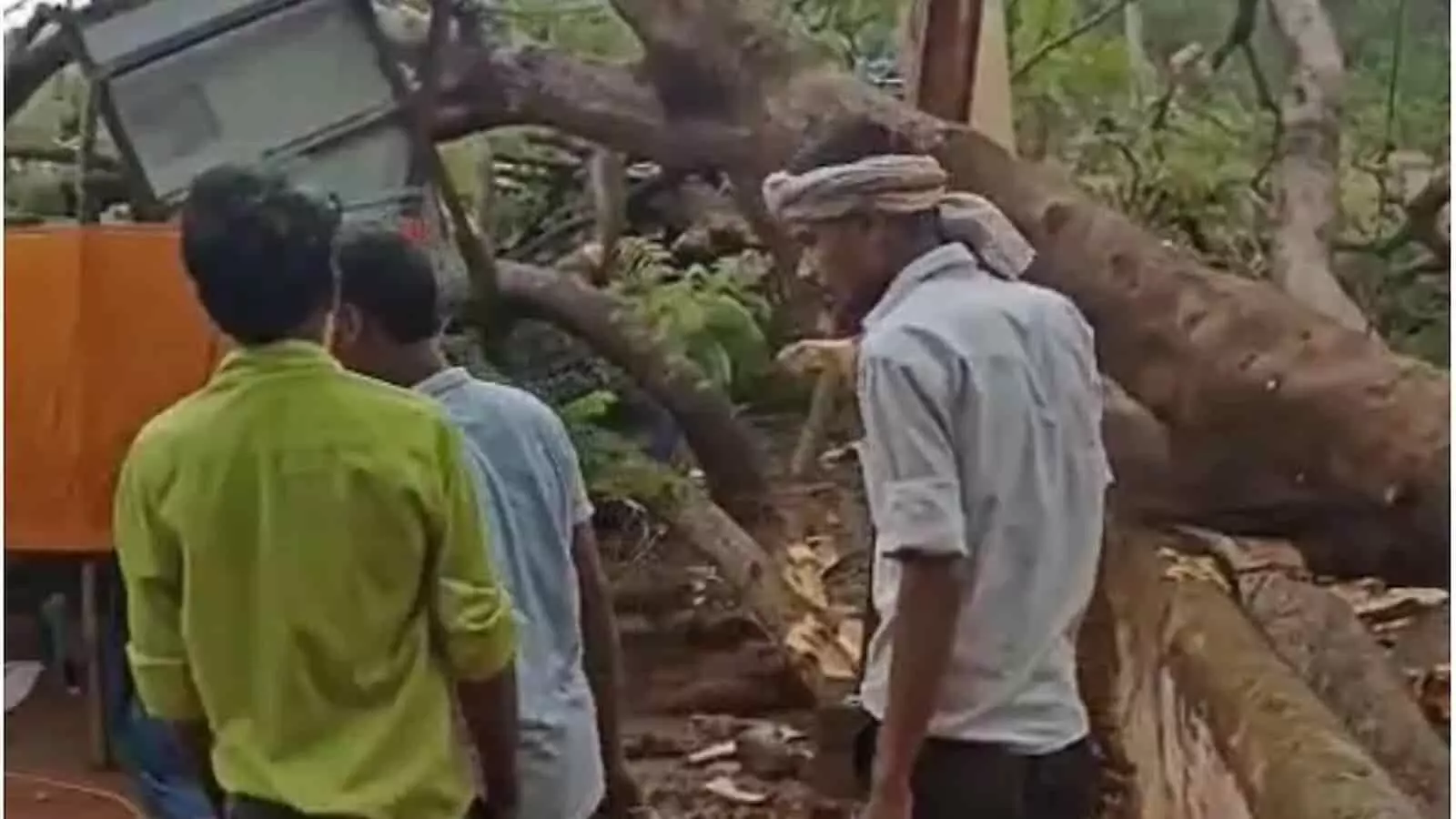 स्कूल परिसर में बाउंड्रीवाल पर गिरे विशाल पेड़ को देखते हुए स्थानीय लोग। स्कूल परिसर में बाउंड्रीवाल पर गिरे विशाल पेड़ को देखते हुए स्थानीय लोग।