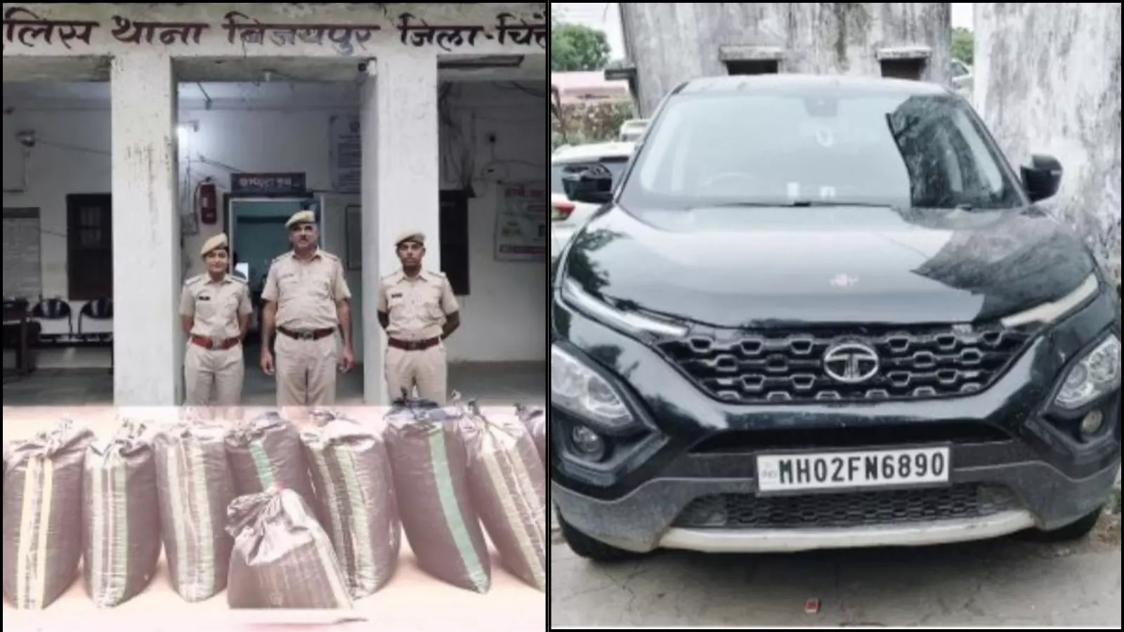 तस्वीर में बिजयपुर थाना परिसर में पुलिसकर्मी, जब्त कट्टे और टाटा हैरियर कार दिखाई दे रही है। तस्वीर में बिजयपुर थाना परिसर में पुलिसकर्मी, जब्त कट्टे और टाटा हैरियर कार दिखाई दे रही है।