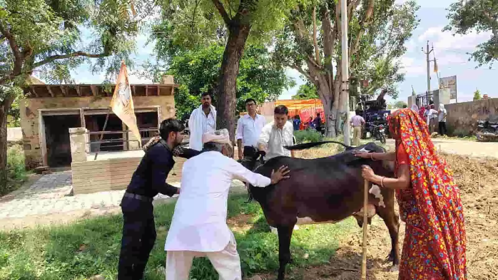 विश्व जूनोसिस दिवस: भुसावर में पशु स्वास्थ्य और टीकाकरण अभियान, निराश्रित कुत्तों को लगी वैक्सीन