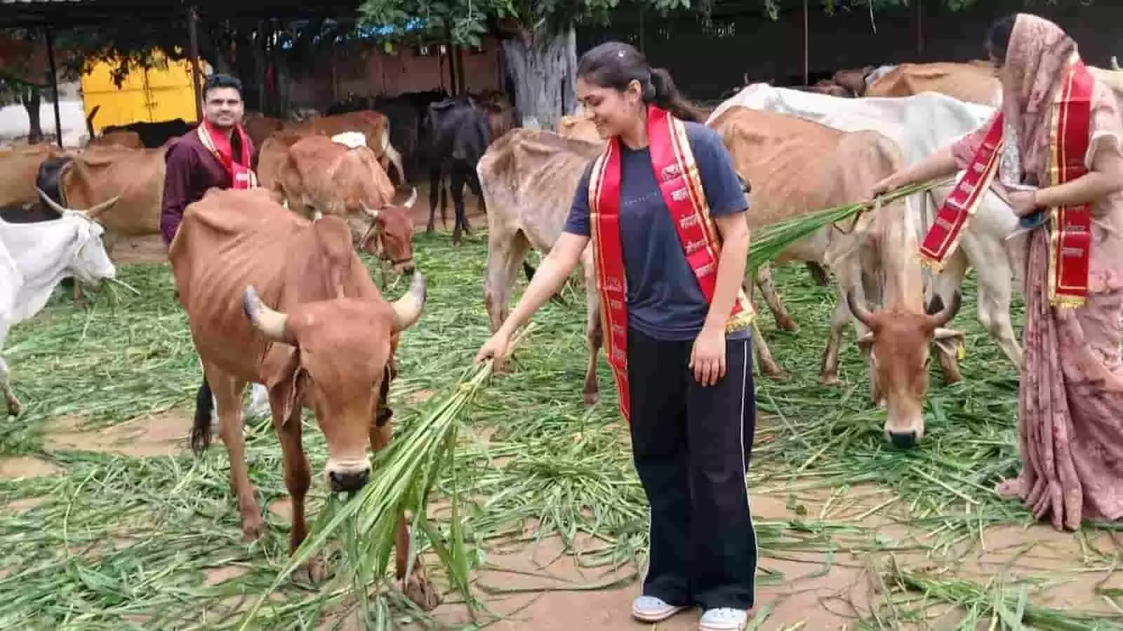 गौशाला में लोग गायों को हरी घास खिलाते और सेवा करते हुए दिखाई दे रहे हैं।