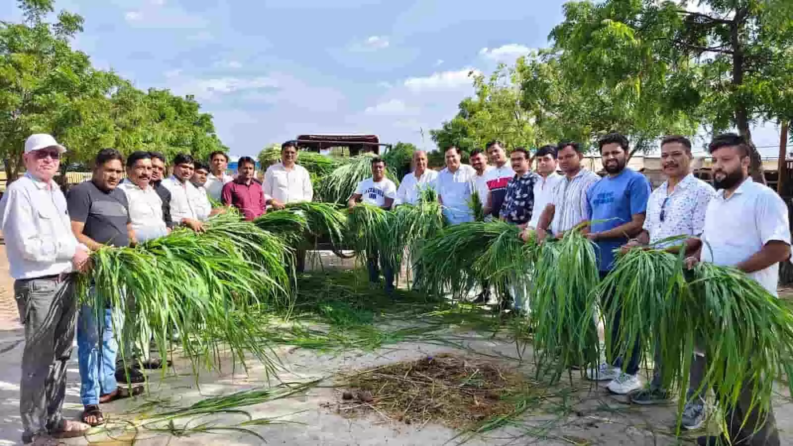 तस्वीर में गौशाला परिसर में हाथों में हरा चारा लिए खड़े लोग गौसेवा कार्यक्रम के दौरान दिखाई दे रहे हैं।