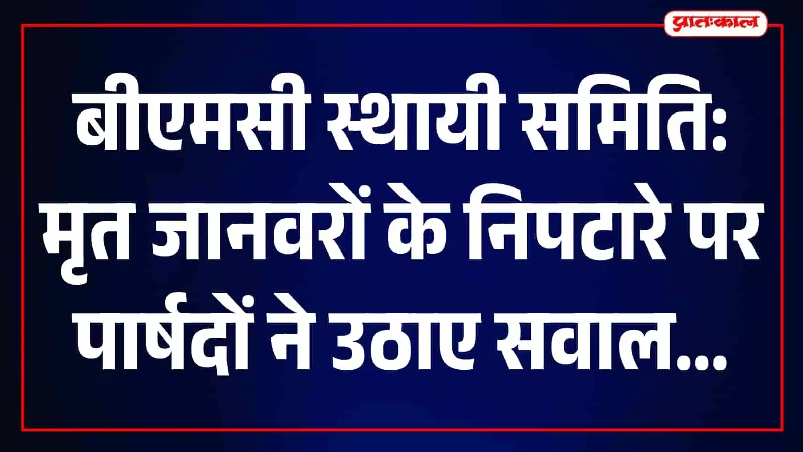 बीएमसी स्थायी समिति की बैठक में पार्षद और अधिकारी चर्चा करते हुए दिख रहे हैं। बीएमसी स्थायी समिति की बैठक में पार्षद और अधिकारी चर्चा करते हुए दिख रहे हैं।