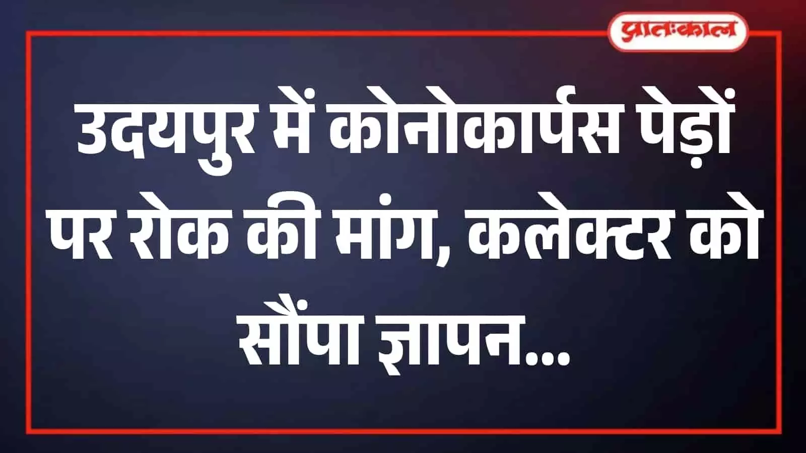 उदयपुर की सड़क पर डिवाइडर के बीच लगे कोनोकार्पस के बड़े पेड़। उदयपुर की सड़क पर डिवाइडर के बीच लगे कोनोकार्पस के बड़े पेड़।