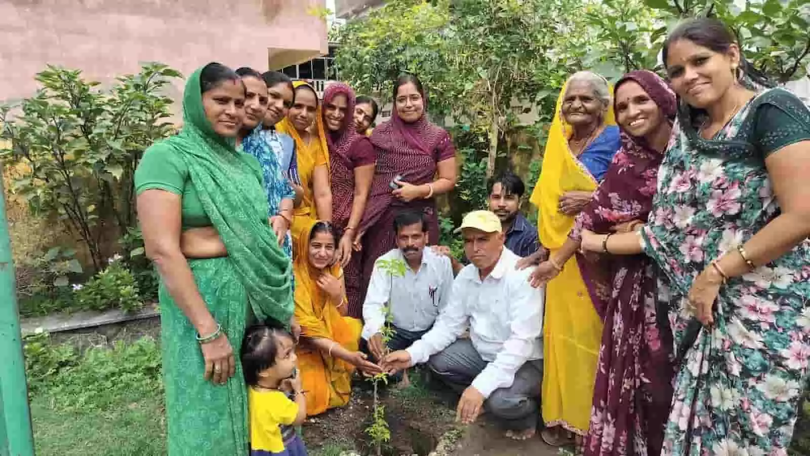 तस्वीर में कल्पवृक्ष का पौधा लगाते पुरुष और महिलाएं निंबाहेड़ा मंदिर परिसर में दिख रही हैं। तस्वीर में कल्पवृक्ष का पौधा लगाते पुरुष और महिलाएं निंबाहेड़ा मंदिर परिसर में दिख रही हैं।