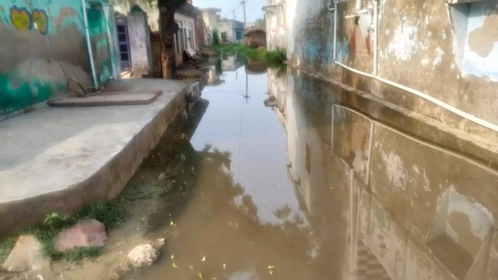 नगला धवला गांव की गली में जमा हुआ पानी और कीचड़ दिख रहा है। नगला धवला गांव की गली में जमा हुआ पानी और कीचड़ दिख रहा है।
