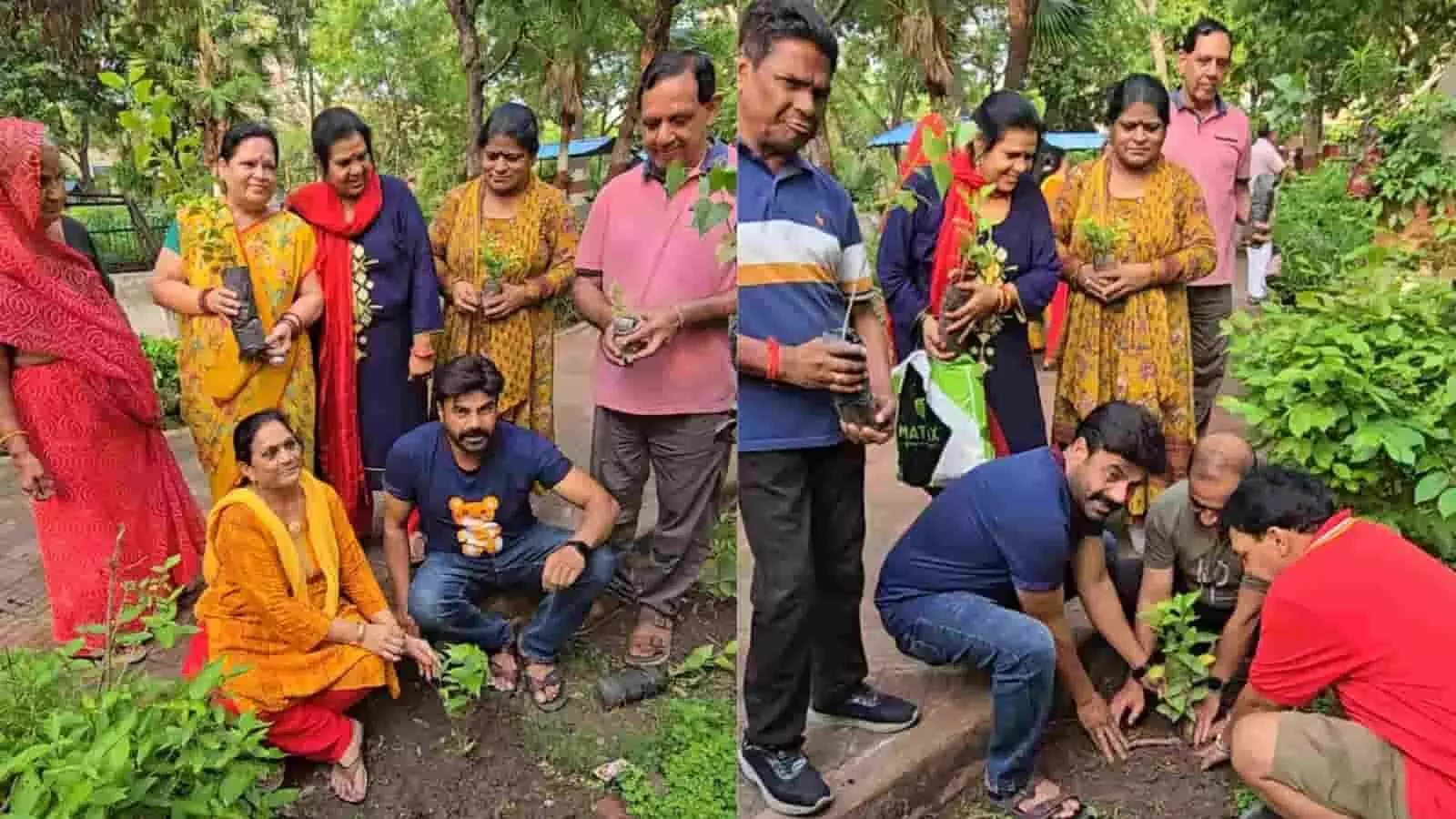 झालावाड़ के गढ़ पार्क में रईस पठान की मौजूदगी में पौधारोपण करते नागरिक। झालावाड़ के गढ़ पार्क में रईस पठान की मौजूदगी में पौधारोपण करते नागरिक।