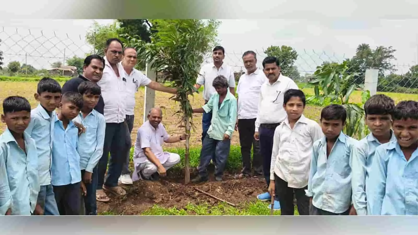 तस्वीर में स्कूल के मैदान में शिक्षक और बच्चे पौधा लगाते हुए नजर आ रहे हैं। तस्वीर में स्कूल के मैदान में शिक्षक और बच्चे पौधा लगाते हुए नजर आ रहे हैं।