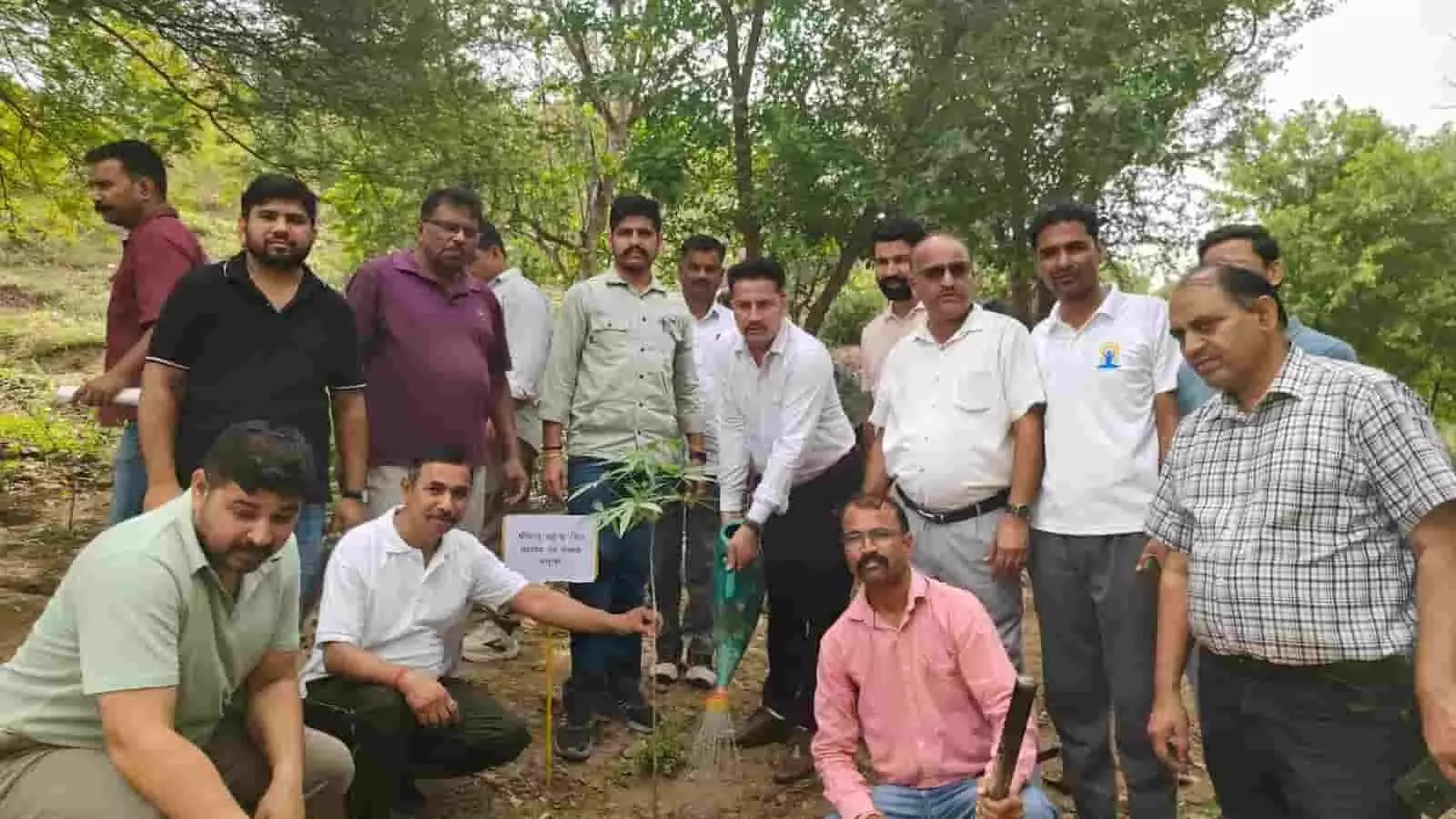 सलूम्बर में आयोजित पौधरोपण कार्यक्रम में अधिकारी नए पौधे को पानी देते हुए। सलूम्बर में आयोजित पौधरोपण कार्यक्रम में अधिकारी नए पौधे को पानी देते हुए।