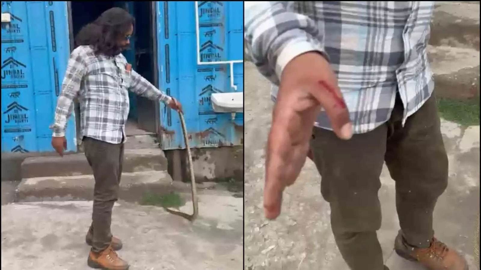 राजसमंद में 6 फीट लंबे धामन के रेस्क्यू के दौरान युवक को काटा, फिर भी सुरक्षित जंगल में छोड़ा