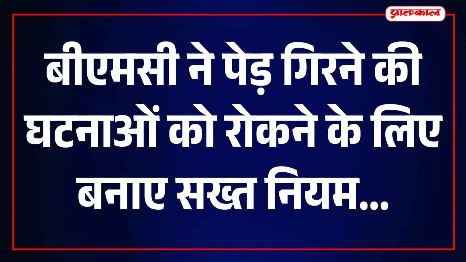 बीएमसी कर्मचारी मुंबई में सड़क किनारे पेड़ों की सुरक्षा जांच और छंटनी कर रहे हैं। बीएमसी कर्मचारी मुंबई में सड़क किनारे पेड़ों की सुरक्षा जांच और छंटनी कर रहे हैं।