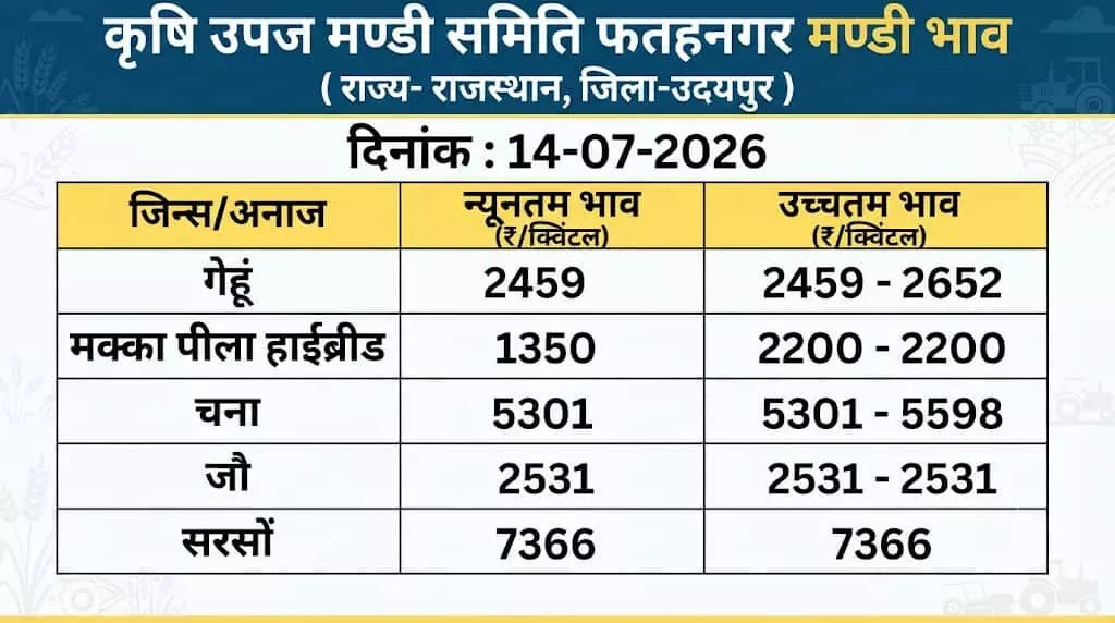 तस्वीर में फतहनगर कृषि उपज मंडी में मंडी भाव बोर्ड प्रदर्शित है। तस्वीर में फतहनगर कृषि उपज मंडी में मंडी भाव बोर्ड प्रदर्शित है।