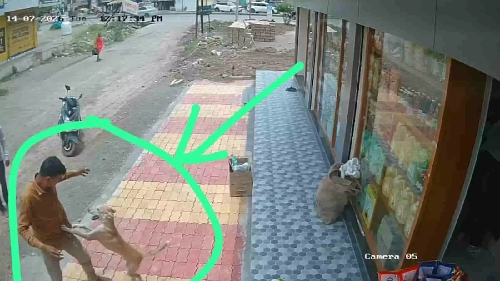 एक युवक अंबड रोड पर एक भटक्या कुत्ते से खुद को बचाने का प्रयास कर रहा है।