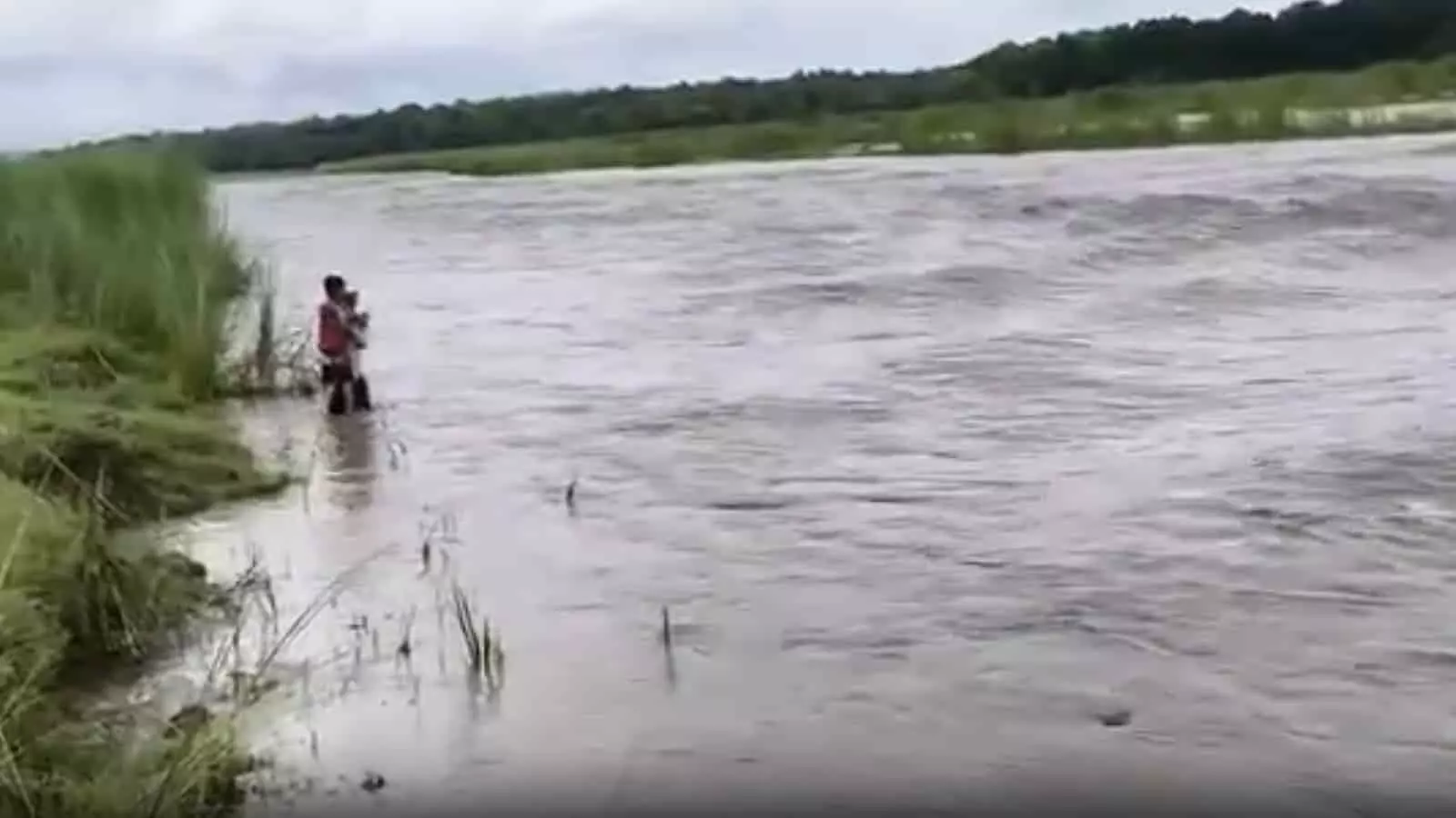 पश्चिम चंपारण में उफनती नदी को पैदल पार करते हुए ग्रामीण लोग दिख रहे हैं। पश्चिम चंपारण में उफनती नदी को पैदल पार करते हुए ग्रामीण लोग दिख रहे हैं।