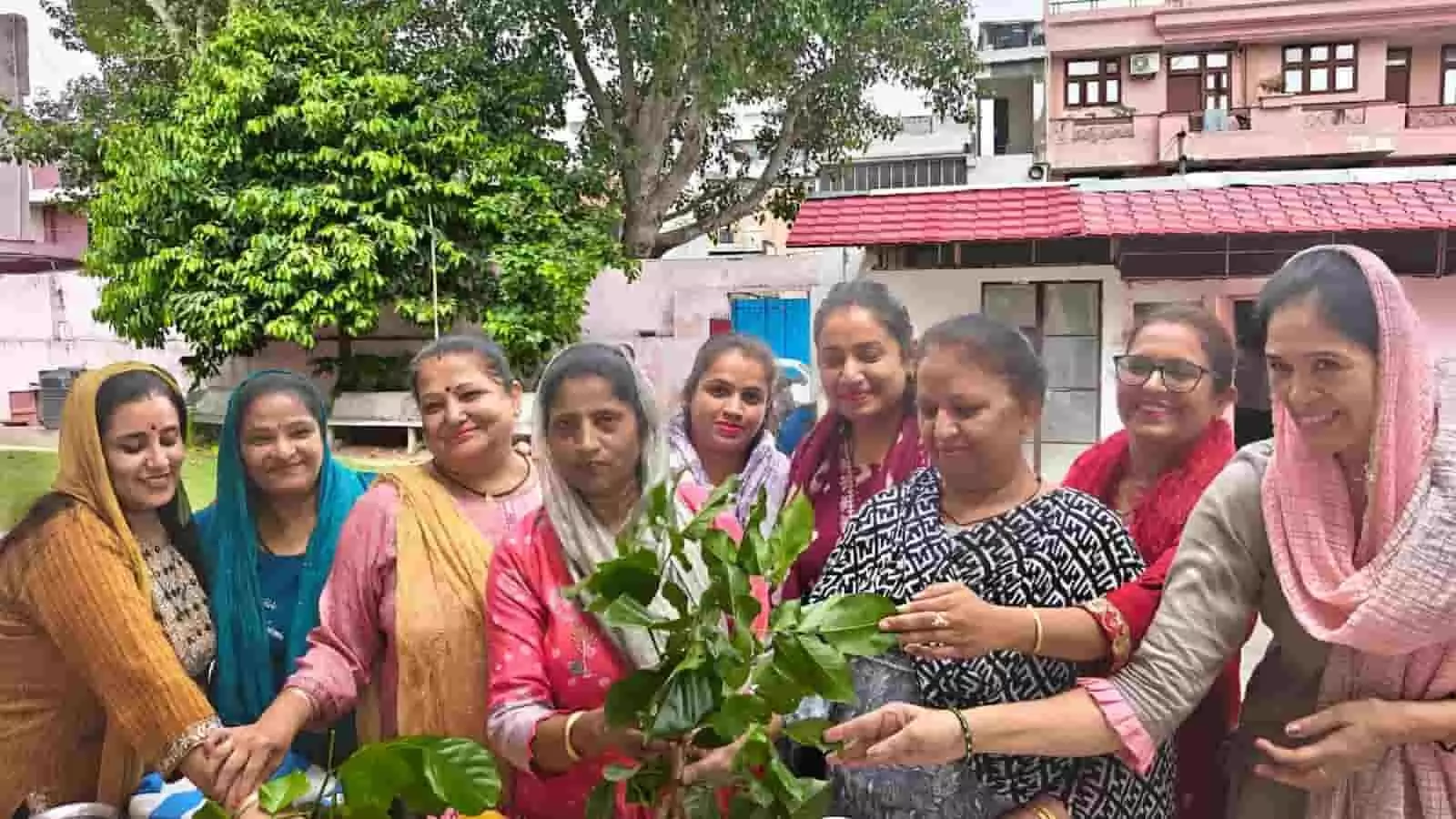 तस्वीर में दिख रहीं सिंधी समाज की महिलाएं जेठ चंड पर्व के अवसर पर पूजा करते हुए। तस्वीर में दिख रहीं सिंधी समाज की महिलाएं जेठ चंड पर्व के अवसर पर पूजा करते हुए।
