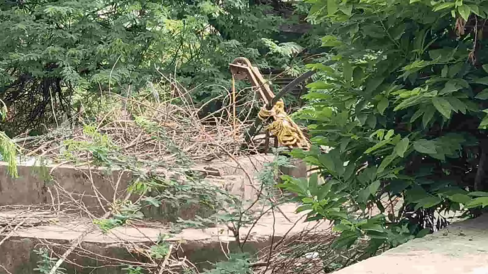 घोसुंडी में सरकारी कुएं के आसपास फैली गंदगी और झाड़ियां नजर आ रही हैं।