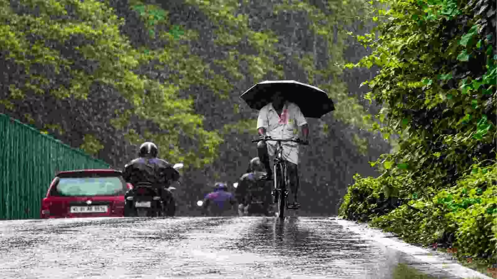 बारिश के दौरान छतरी लेकर सड़क पर साइकिल चलाते व्यक्ति की तस्वीर। बारिश के दौरान छतरी लेकर सड़क पर साइकिल चलाते व्यक्ति की तस्वीर।