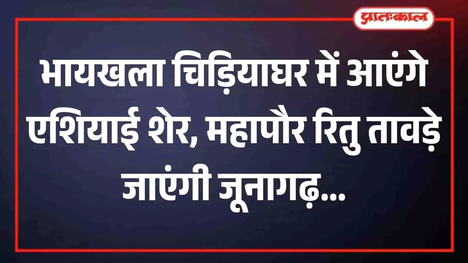 मुंबई के भायखला चिड़ियाघर में एशियाई शेरों के लिए तैयार किया गया नया अत्याधुनिक पिंजरा। मुंबई के भायखला चिड़ियाघर में एशियाई शेरों के लिए तैयार किया गया नया अत्याधुनिक पिंजरा।