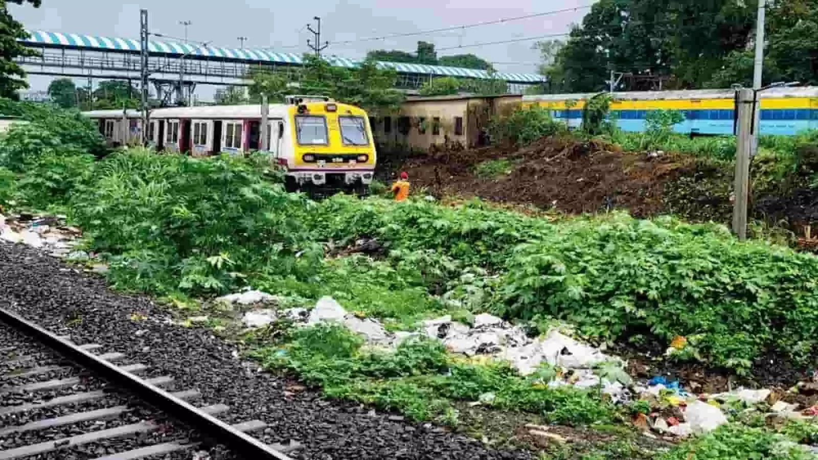 रेलवे ट्रैक के किनारे खड़ी लोकल ट्रेन और झाड़ियों के पास बिखरा कचरा। रेलवे ट्रैक के किनारे खड़ी लोकल ट्रेन और झाड़ियों के पास बिखरा कचरा।