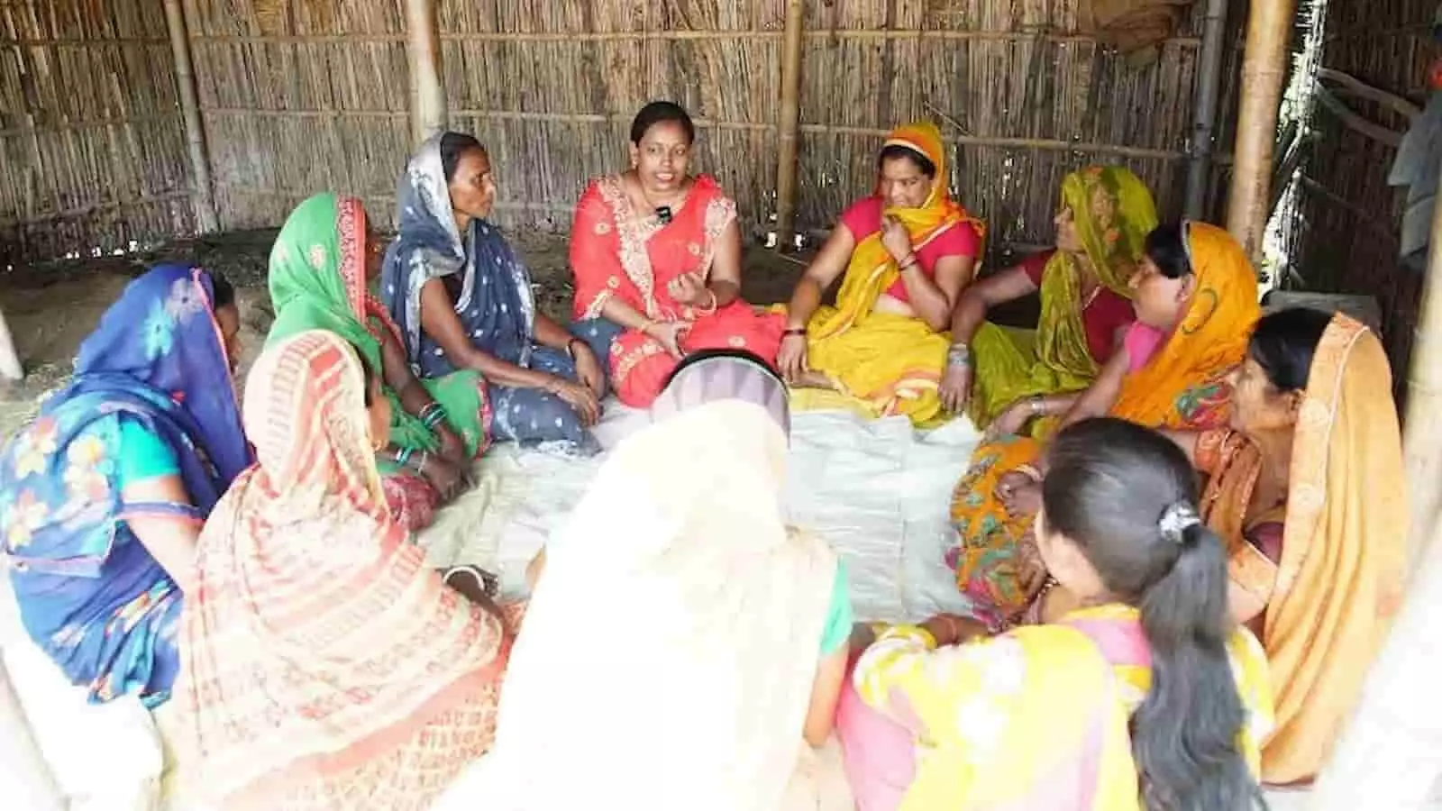 Arya.ag completes maize procurement worth over Rs 3 crore in Bihar Arya.ag completes maize procurement worth over Rs 3 crore in Bihar