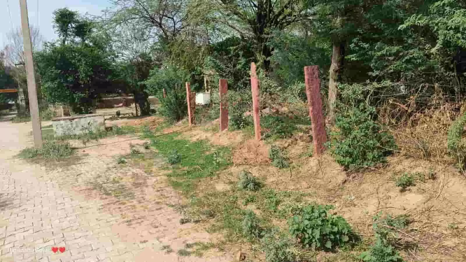 तस्वीर में बयाना के बरखेड़ा क्षेत्र की इंटरलॉकिंग सड़क और किनारे लगे पत्थर दिखाई दे रहे हैं। तस्वीर में बयाना के बरखेड़ा क्षेत्र की इंटरलॉकिंग सड़क और किनारे लगे पत्थर दिखाई दे रहे हैं।