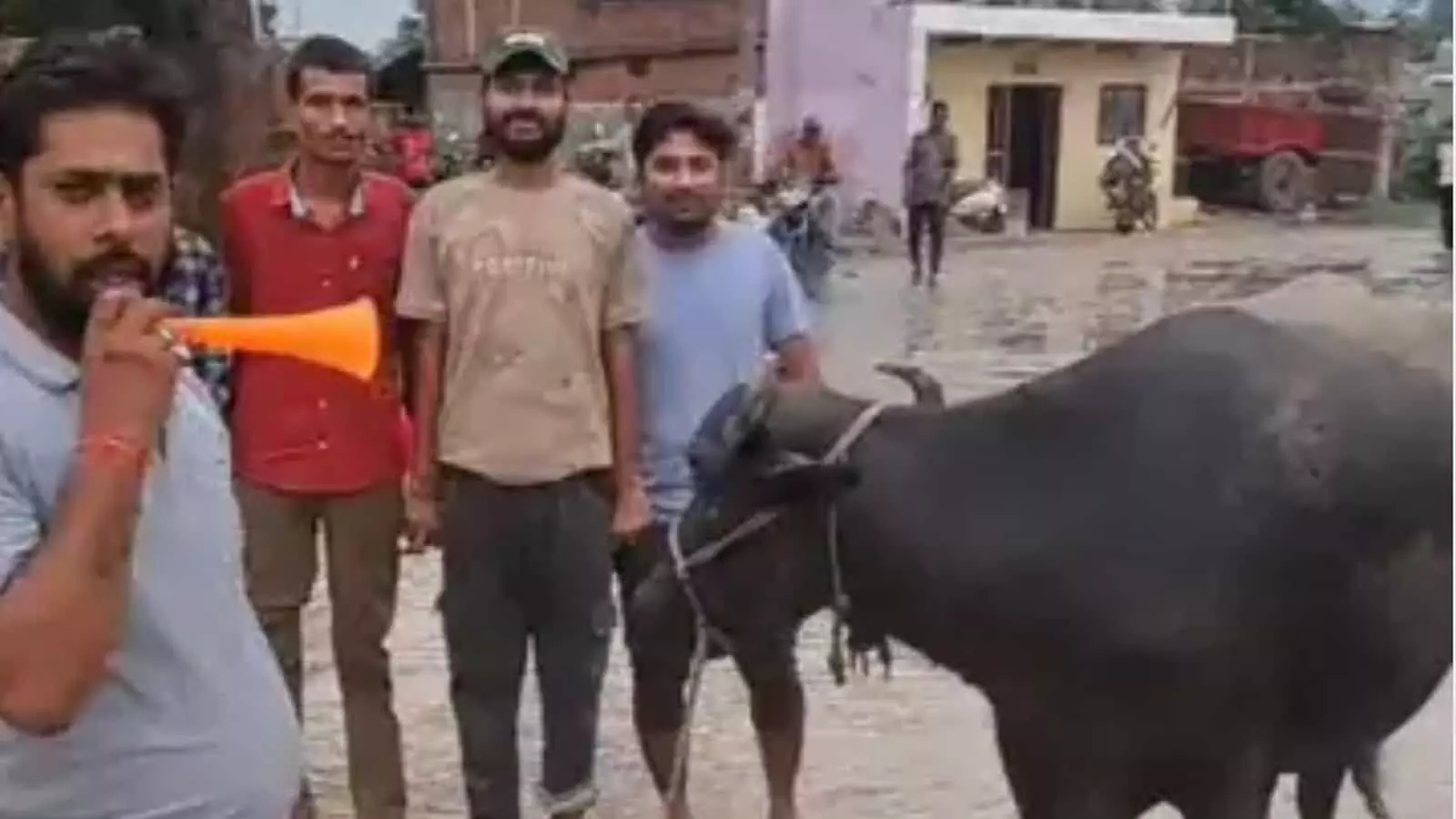 कटनी के देवरी-मझगवां गांव में जर्जर सड़क पर ग्रामीण भैंस के सामने प्रदर्शन कर रहे हैं। कटनी के देवरी-मझगवां गांव में जर्जर सड़क पर ग्रामीण भैंस के सामने प्रदर्शन कर रहे हैं।
