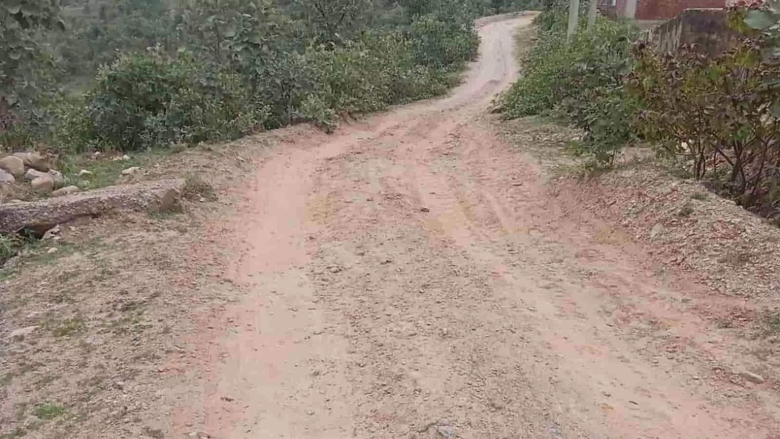 तस्वीर में काकरमाला गांव की कच्ची उबड़-खाबड़ सड़क दिख रही है, जो झाड़ियों से घिरी है।