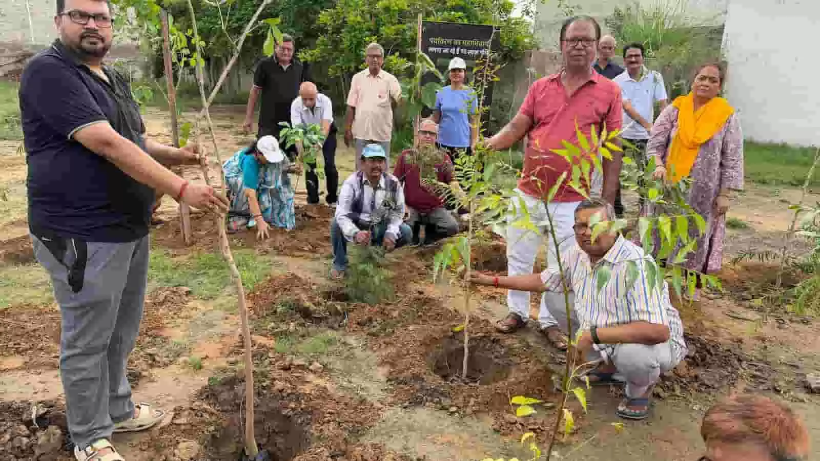 तस्वीर में खुले मैदान में गड्ढों में पौधे लगाते और खड़े हुए कई लोग दिख रहे हैं। तस्वीर में खुले मैदान में गड्ढों में पौधे लगाते और खड़े हुए कई लोग दिख रहे हैं।