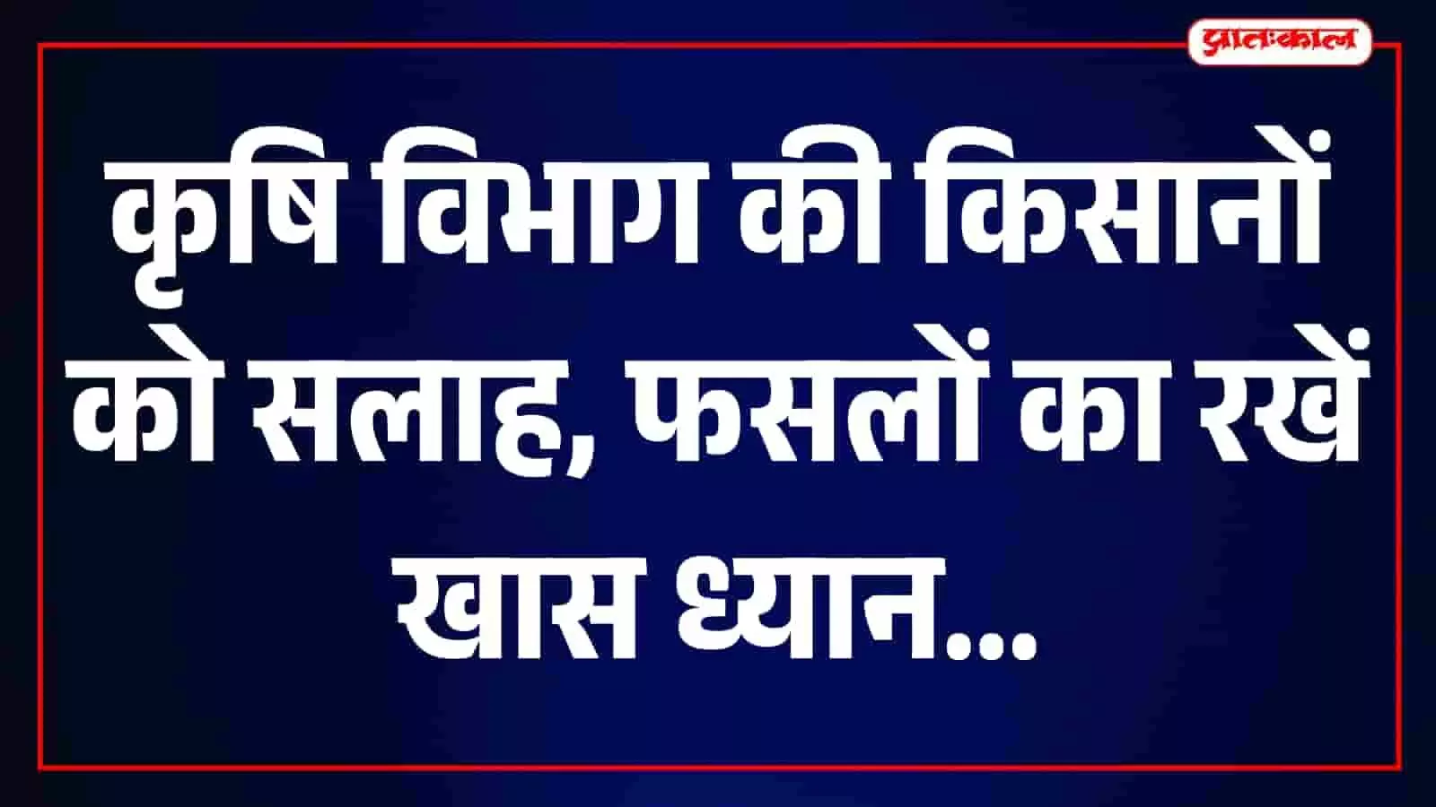 तस्वीर में खेत में हरी-भरी फसलें और कृषि विभाग के दिशा-निर्देशानुसार प्रबंधन दिखाई दे रहा है।