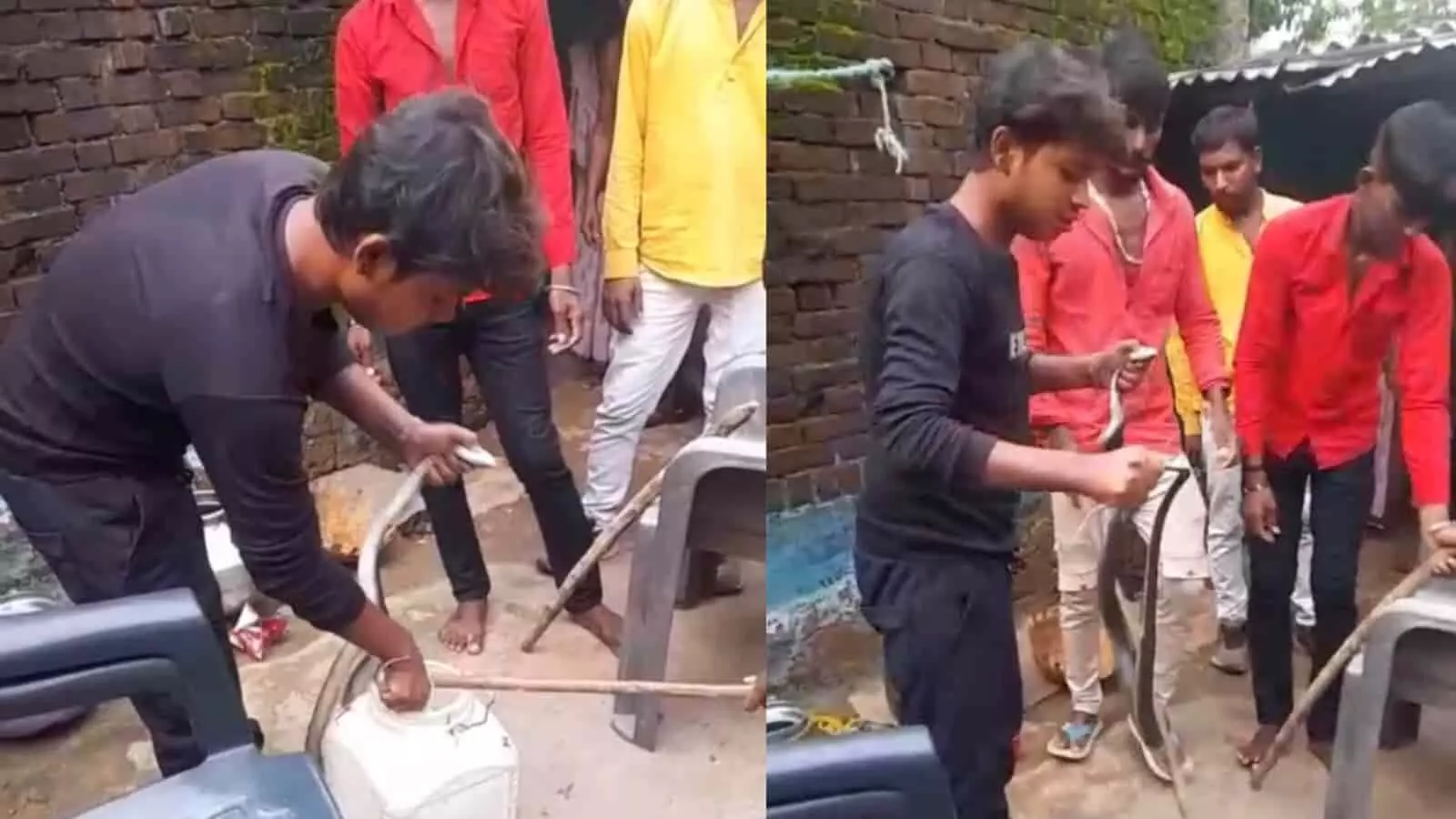 तस्वीर में सर्प मित्र आंगन में सांप को एक डिब्बे में डालता दिख रहा है। तस्वीर में सर्प मित्र आंगन में सांप को एक डिब्बे में डालता दिख रहा है।
