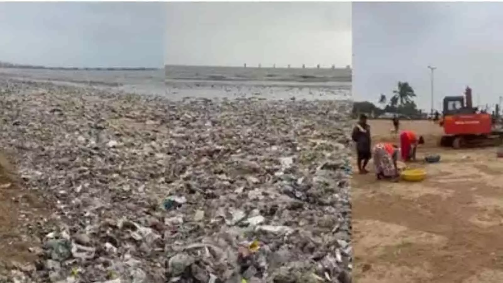 तस्वीर में मुंबई के समुद्र तट पर कचरा और सफाई कर्मी दिख रहे हैं। तस्वीर में मुंबई के समुद्र तट पर कचरा और सफाई कर्मी दिख रहे हैं।