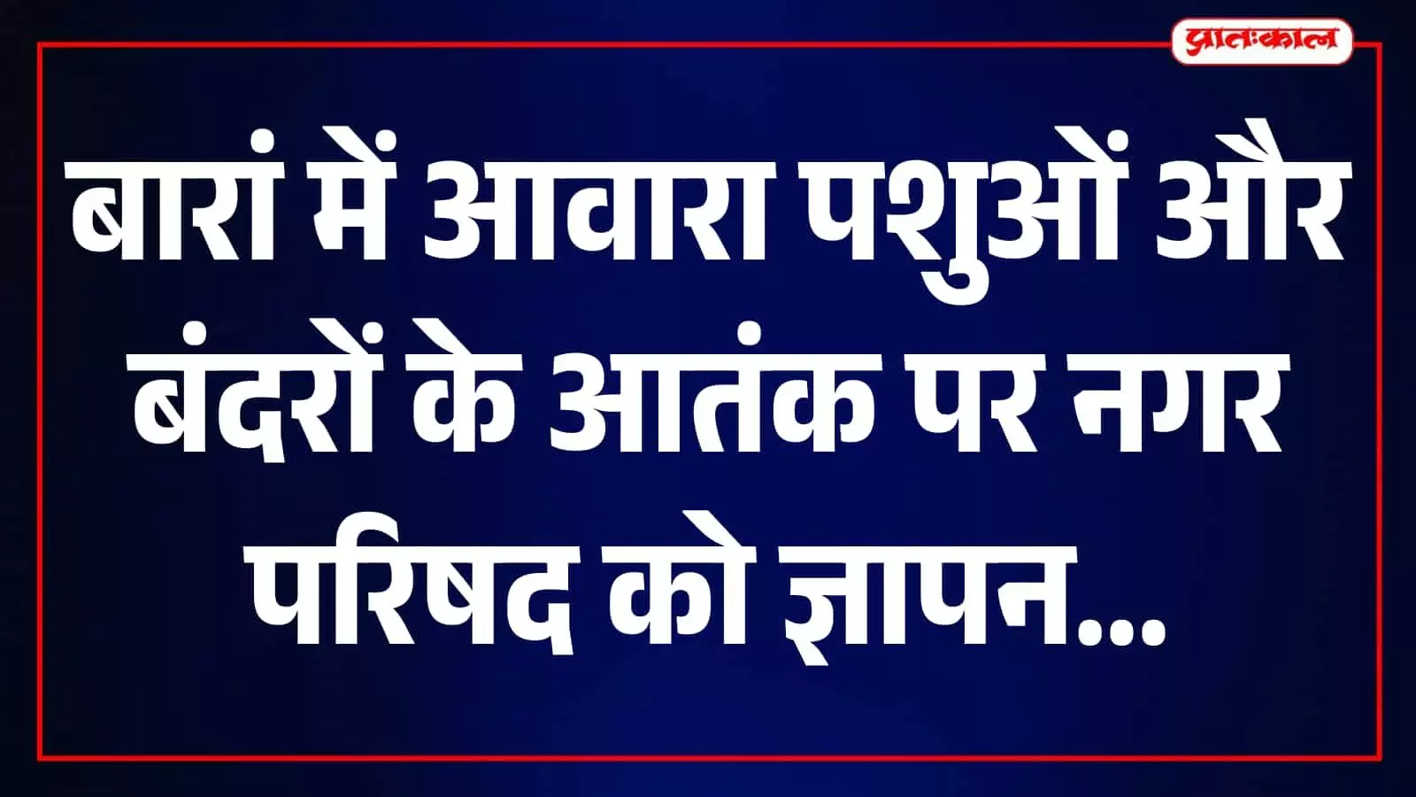 तस्वीर में बारां नगर परिषद कार्यालय में अधिकारियों को ज्ञापन सौंपते पूर्व पार्षद। तस्वीर में बारां नगर परिषद कार्यालय में अधिकारियों को ज्ञापन सौंपते पूर्व पार्षद।