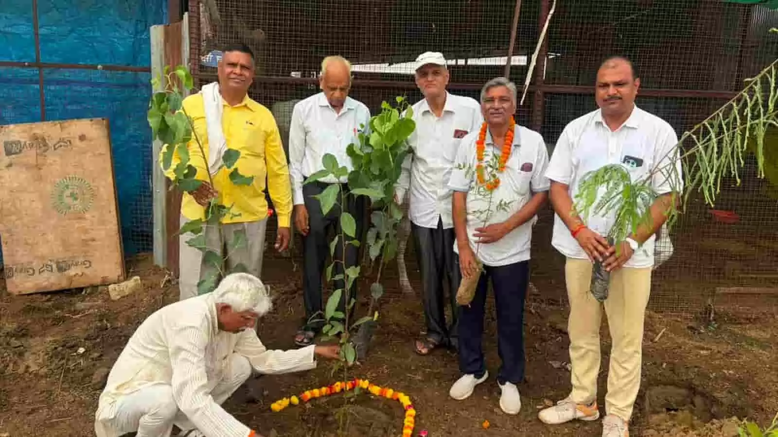 गौशाला परिसर में मिट्टी में छोटा पौधा रोपता व्यक्ति और पास खड़े महासभा सदस्य। गौशाला परिसर में मिट्टी में छोटा पौधा रोपता व्यक्ति और पास खड़े महासभा सदस्य।