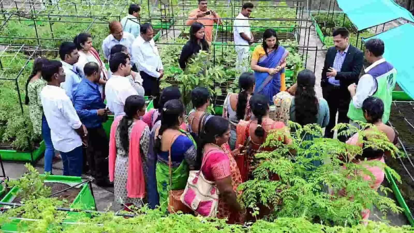 तस्वीर में दिख रहे लोग जयपुर के एक संस्थान की छत पर रूफटॉप फार्मिंग का प्रशिक्षण ले रहे हैं। तस्वीर में दिख रहे लोग जयपुर के एक संस्थान की छत पर रूफटॉप फार्मिंग का प्रशिक्षण ले रहे हैं।