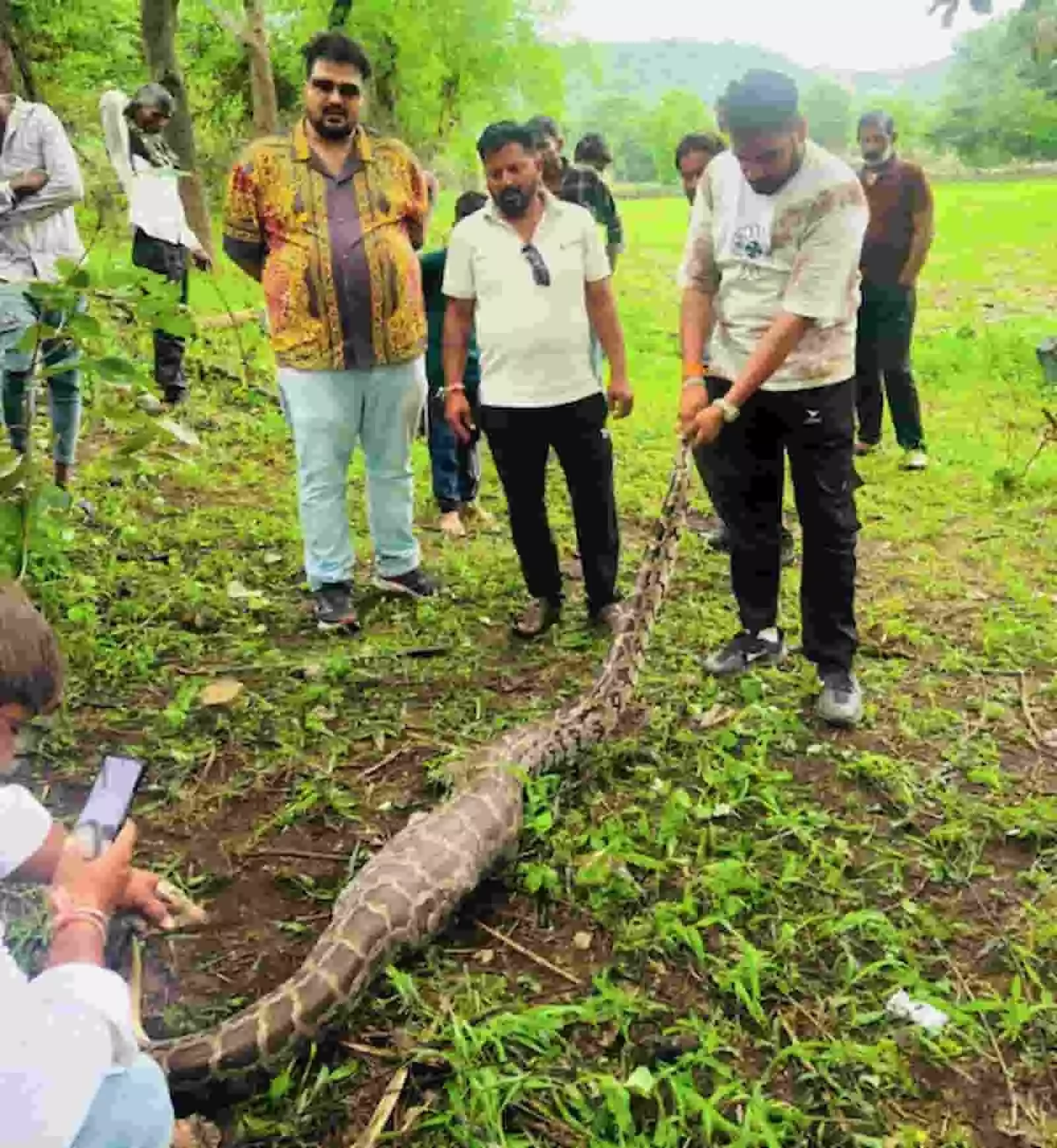 खेत में एक लंबे अजगर को सुरक्षित रूप से पकड़ते हुए रेस्क्यू टीम के सदस्य। खेत में एक लंबे अजगर को सुरक्षित रूप से पकड़ते हुए रेस्क्यू टीम के सदस्य।