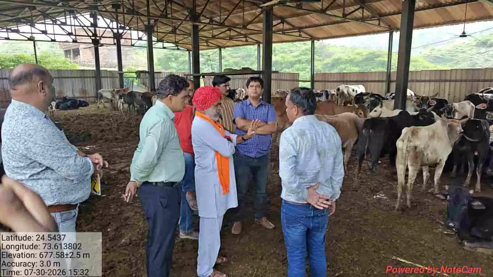 उदयपुर नंदीशाला परिसर में मवेशियों के बीच खड़े विधायक और अधिकारी निरीक्षण करते हुए। उदयपुर नंदीशाला परिसर में मवेशियों के बीच खड़े विधायक और अधिकारी निरीक्षण करते हुए।