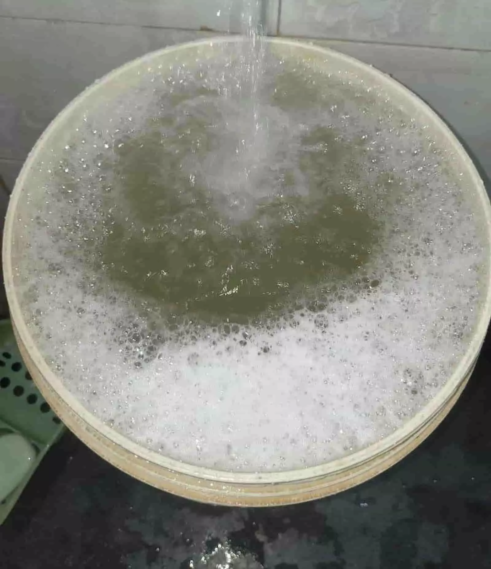 तस्वीर में भीलवाड़ा के एक घर की बाल्टी में नल से गिरता गंदा पानी दिख रहा है। तस्वीर में भीलवाड़ा के एक घर की बाल्टी में नल से गिरता गंदा पानी दिख रहा है।
