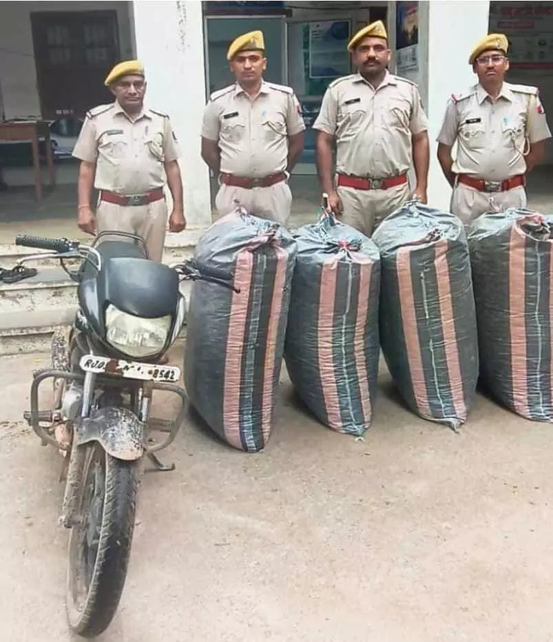 जब्त अफीम डोडाचूरा के कट्टों और मोटरसाइकिल के साथ खड़े पुलिसकर्मी चित्तौड़गढ़ के बिजयपुर थाने में। जब्त अफीम डोडाचूरा के कट्टों और मोटरसाइकिल के साथ खड़े पुलिसकर्मी चित्तौड़गढ़ के बिजयपुर थाने में।