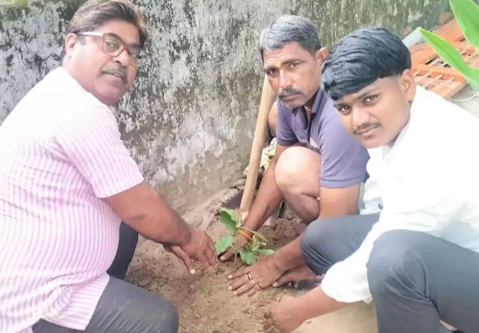 तस्वीर में श्यारोली गांव में हरियालो राजस्थान अभियान के तहत वृक्षारोपण करते हुए लोग दिखाई दे रहे हैं। तस्वीर में श्यारोली गांव में हरियालो राजस्थान अभियान के तहत वृक्षारोपण करते हुए लोग दिखाई दे रहे हैं।