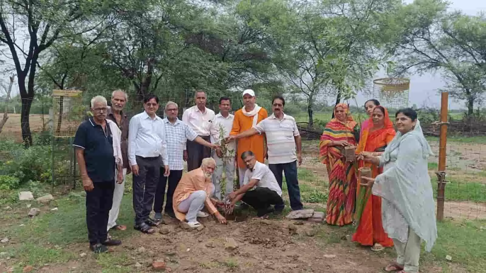 तस्वीर में गौ सेवक गौशाला परिसर में एक पेड़ गौ माता के नाम अभियान के तहत पौधे लगाते हुए दिख रहे हैं। तस्वीर में गौ सेवक गौशाला परिसर में एक पेड़ गौ माता के नाम अभियान के तहत पौधे लगाते हुए दिख रहे हैं।