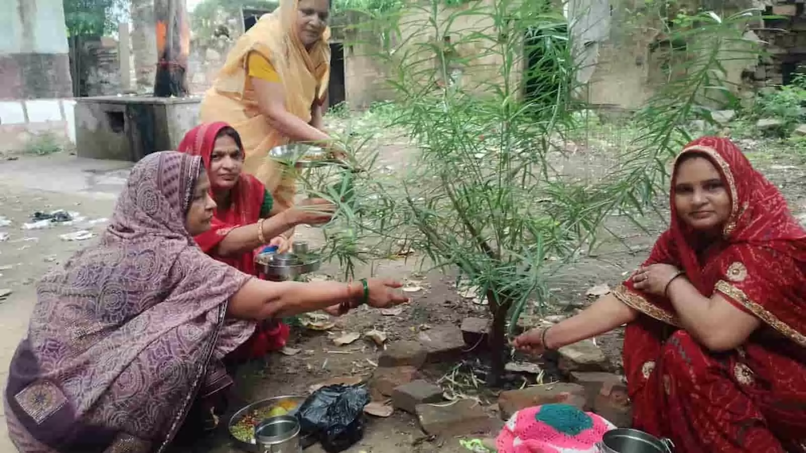 पारंपरिक वेशभूषा में महिलाएं भुसावर में पेड़ के पास नाग पंचमी की पूजा करती हुईं। पारंपरिक वेशभूषा में महिलाएं भुसावर में पेड़ के पास नाग पंचमी की पूजा करती हुईं।