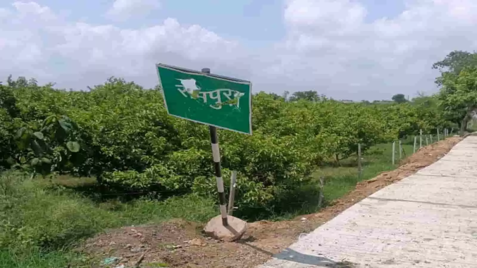 तस्वीर में सवाई माधोपुर में सड़क किनारे लगा एक क्षतिग्रस्त दिशा सूचक बोर्ड दिख रहा है। तस्वीर में सवाई माधोपुर में सड़क किनारे लगा एक क्षतिग्रस्त दिशा सूचक बोर्ड दिख रहा है।